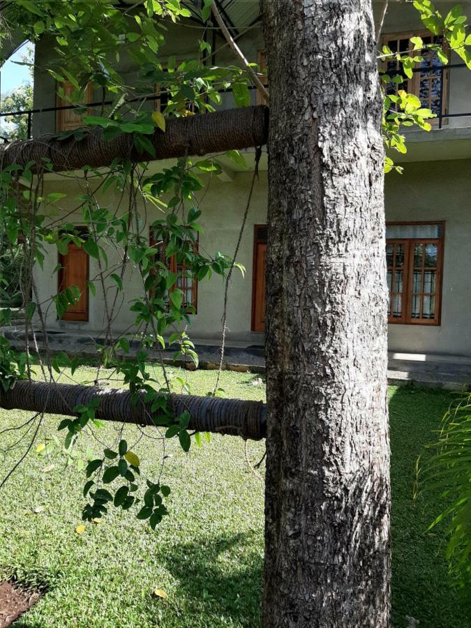 Afenta Motel- Мігінтейл Екстер'єр фото